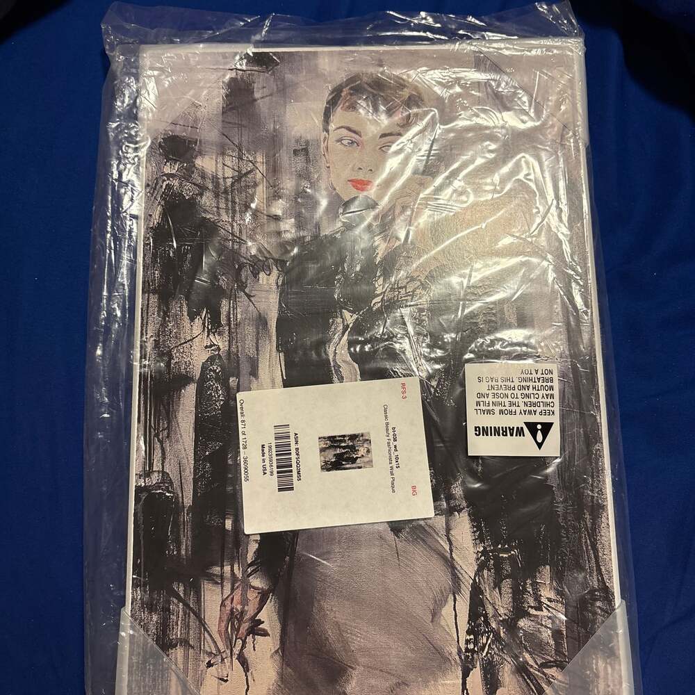 Stupell Classic Beauty Fashionista Gray Canvas Wall Art By Lucille Lee 10x15